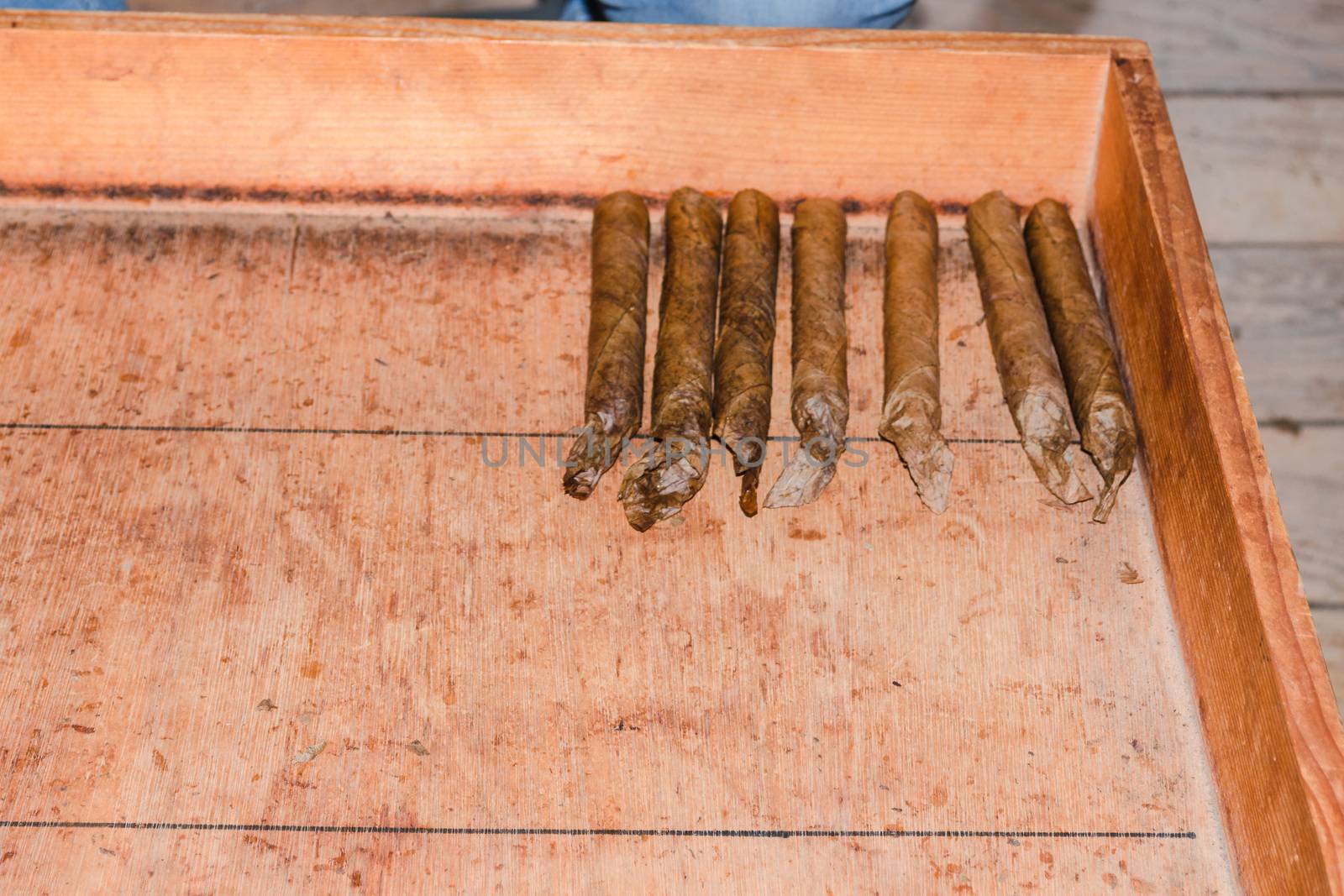 Traditional manufacture of cigars in an old tobacco factory in Havana in Cuba.
