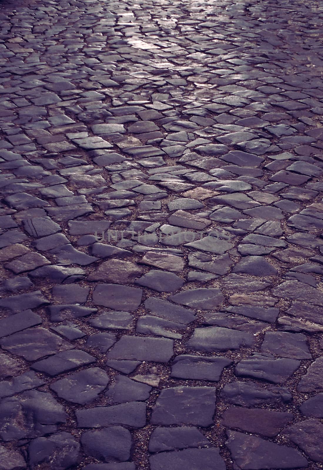 Cobbled street after rain. Background by elena_vz