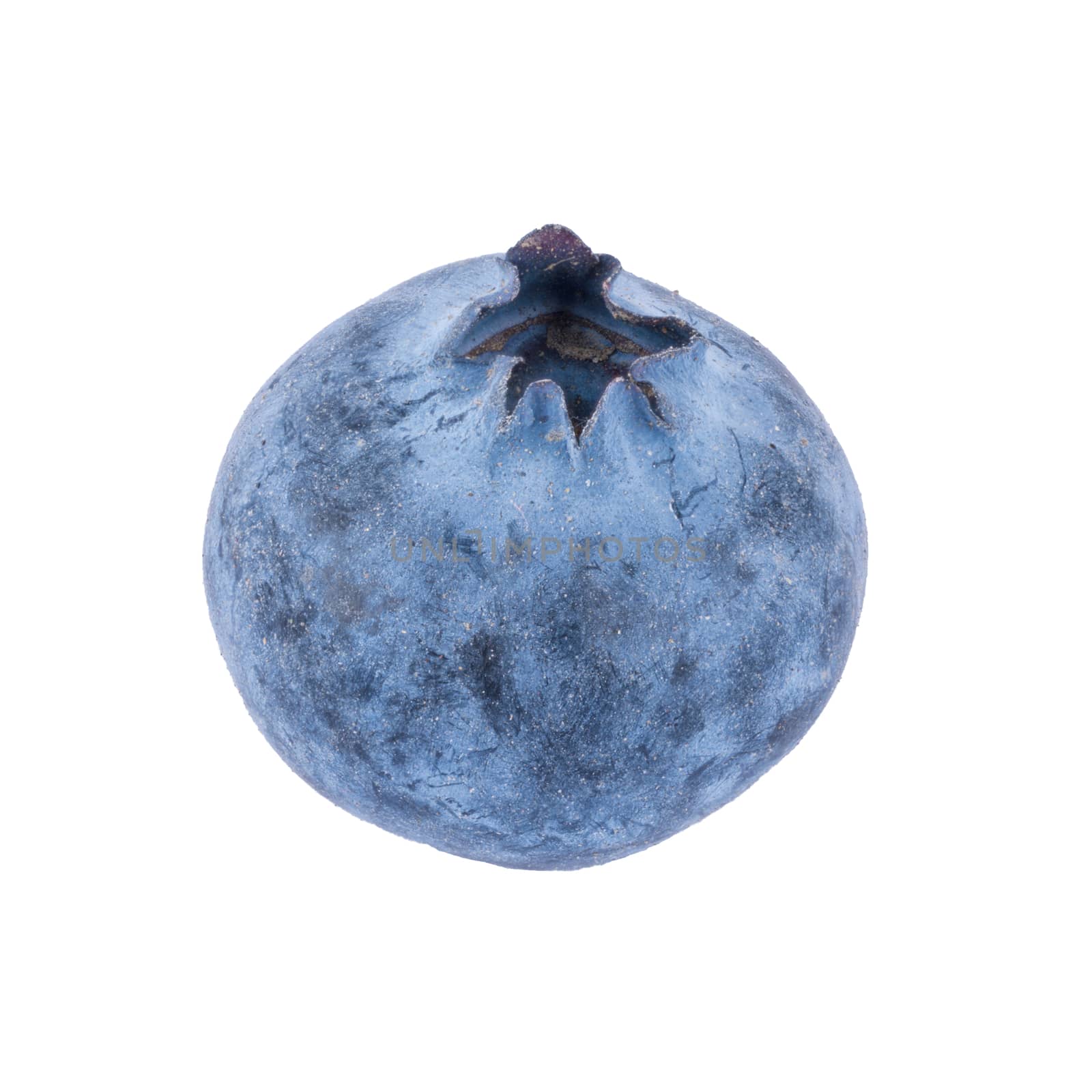 Blueberry isolated on a white background
