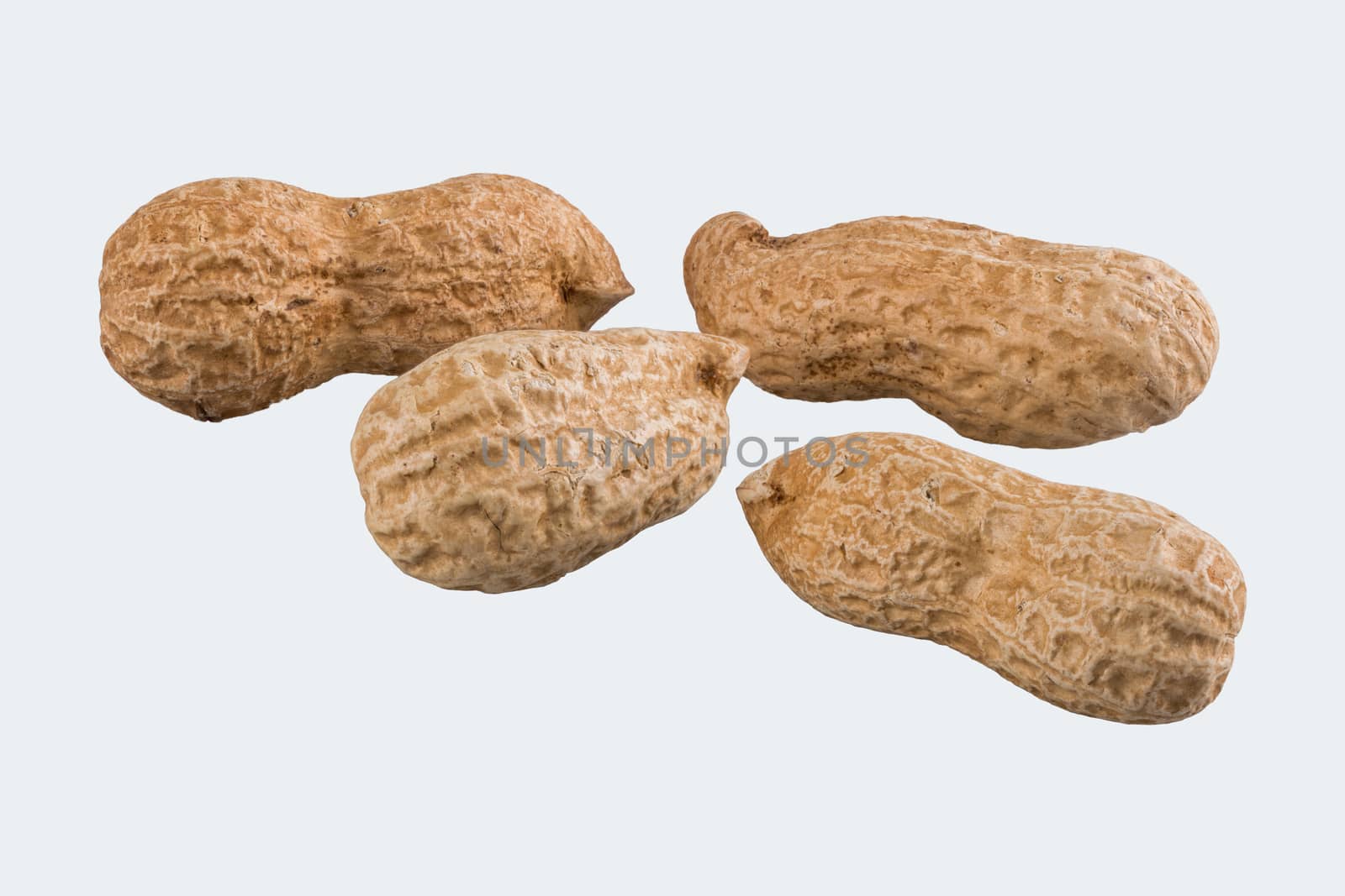 Groundnuts isolated on a white background