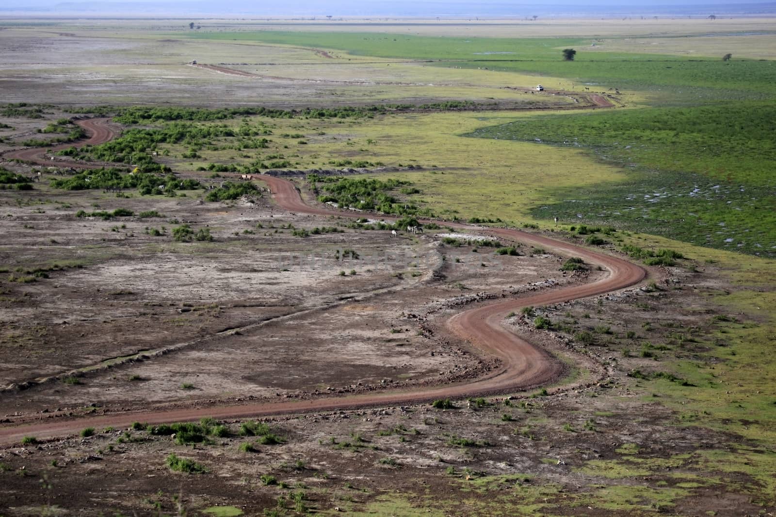 Road in the African savannah. Amboseli national park in Kenia