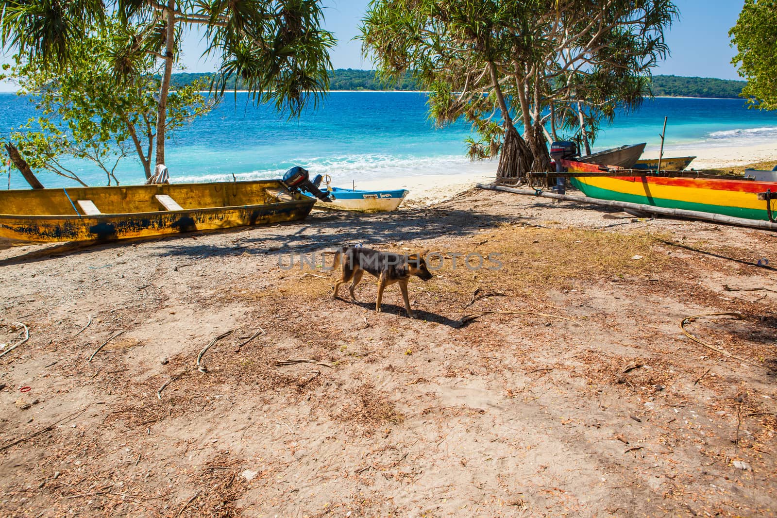 clear blue water surronds the south pacific island of East-Timor, also known as Timor-Leste