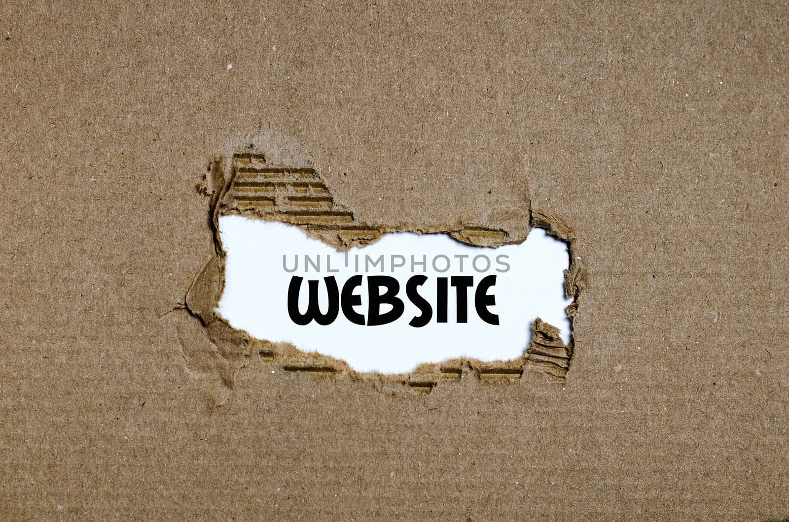 The word website appearing behind torn paper by eenevski