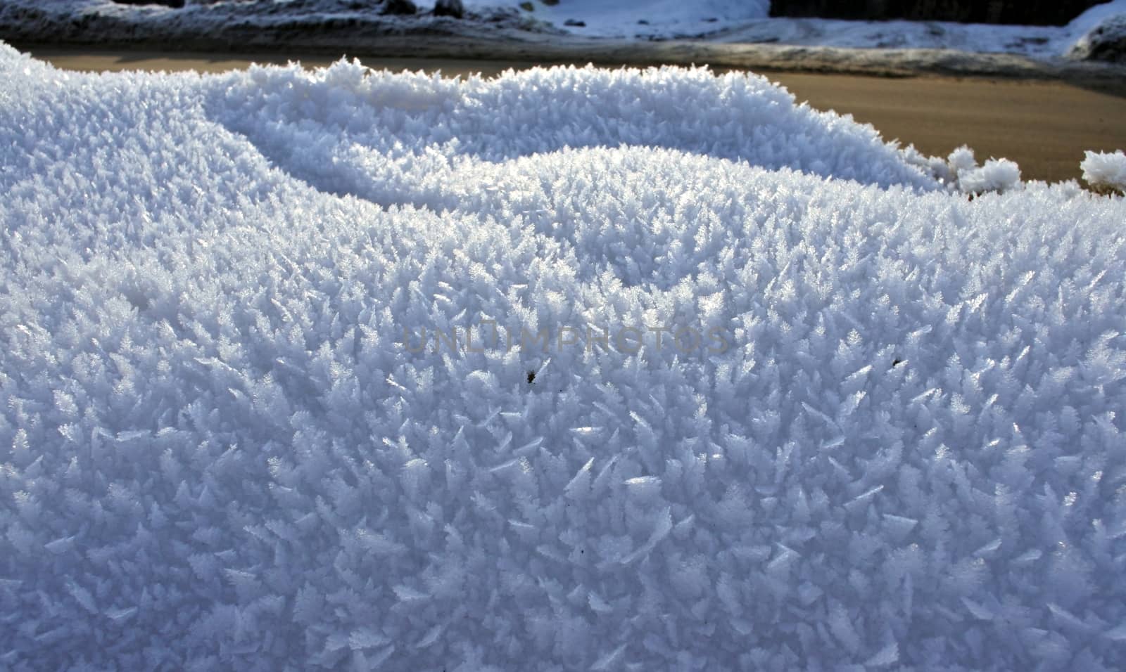 snow crystals closeup against the morning sun