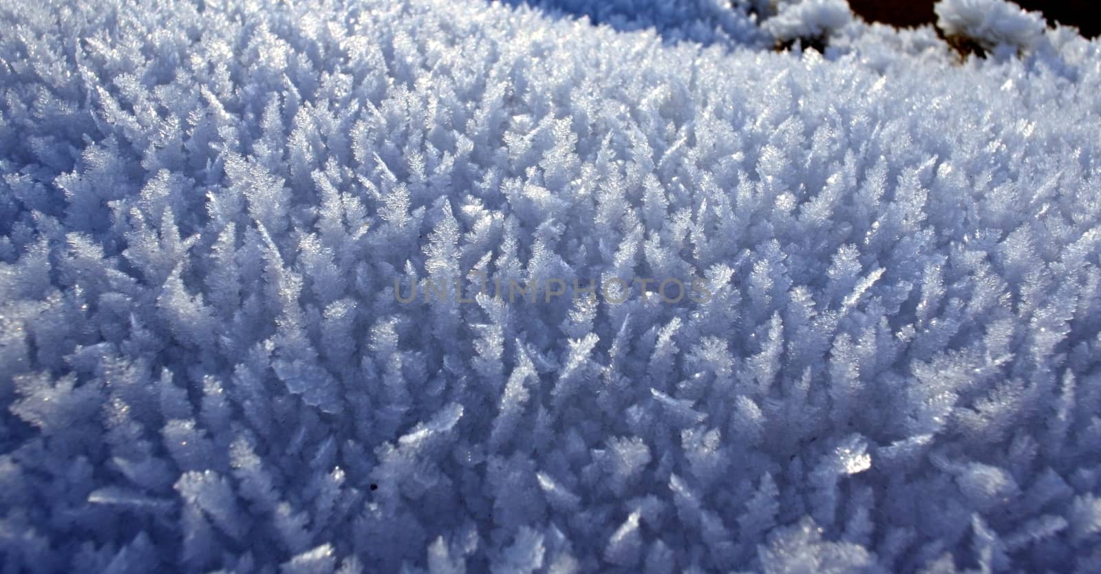 snow crystals close up against the sun