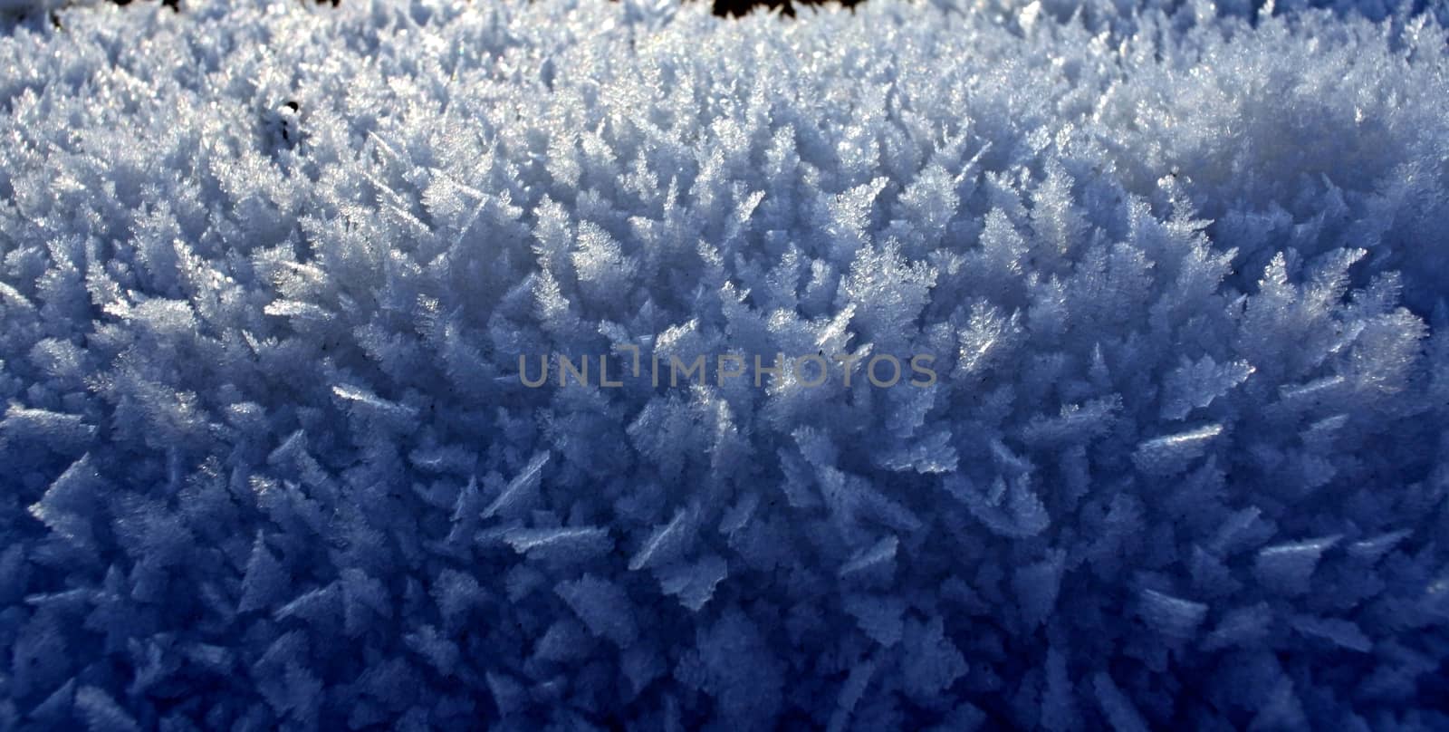 snow crystals close up against the sun