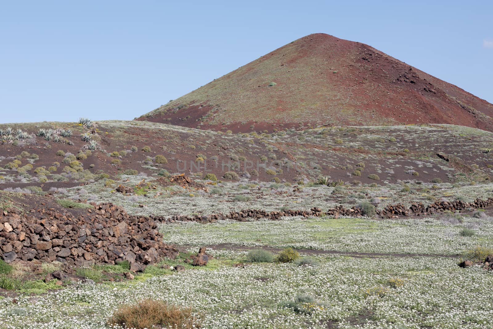 Landscape Lanzarote