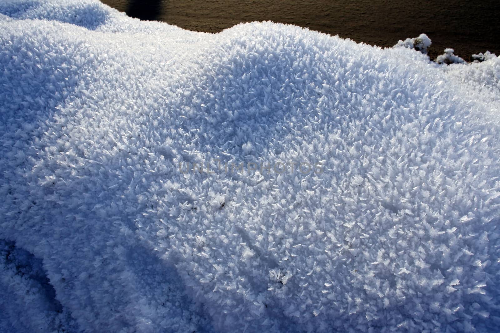 snow crystals closeup against the morning sun