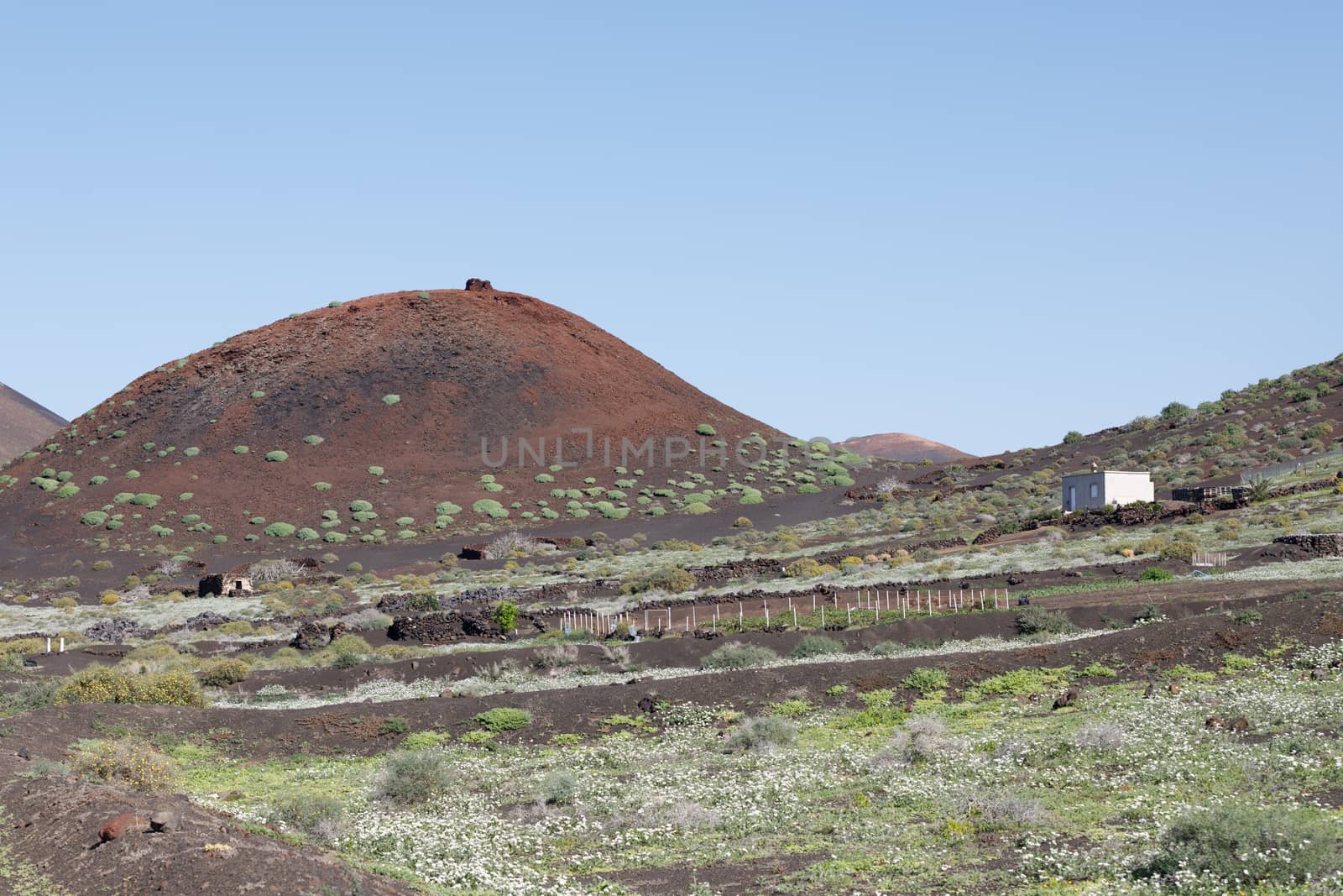 Landscape Lanzarote