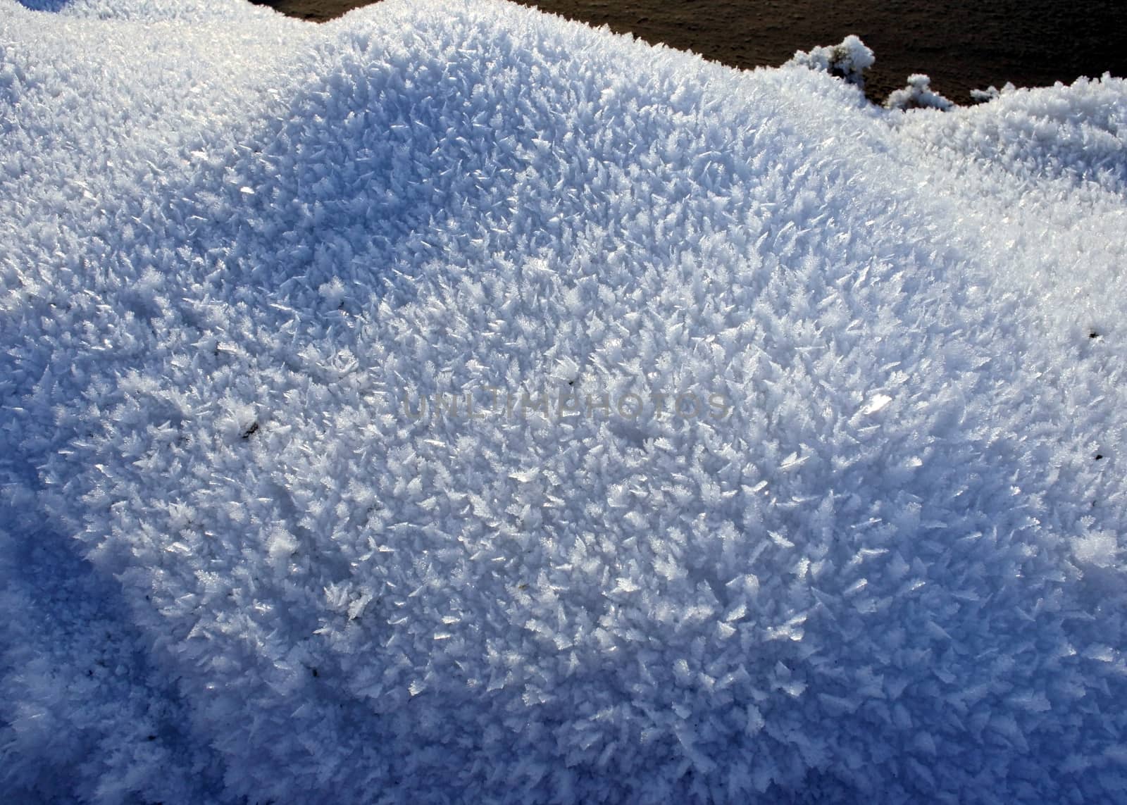 snow crystals closeup against the morning sun