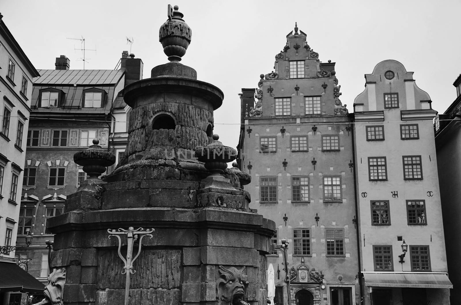 Statue with water outlets at Stortorget, Stockholm, Sweden by vladacanon