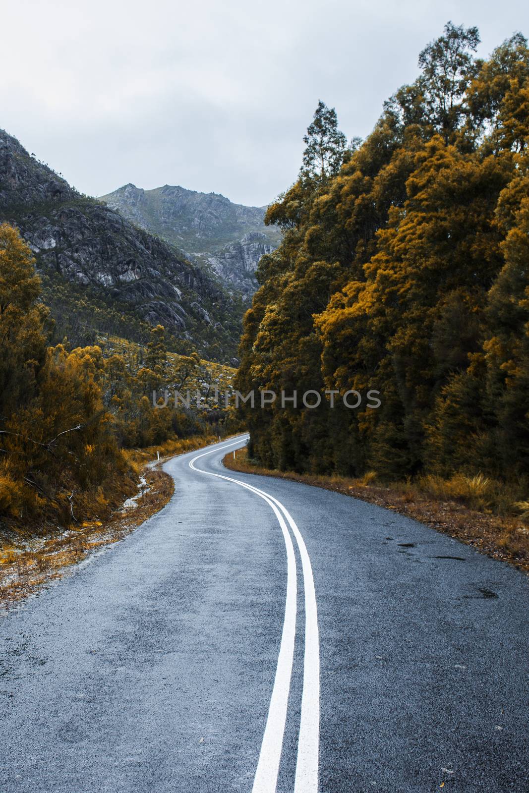Road and mountains in the Tasmanian countryside by artistrobd