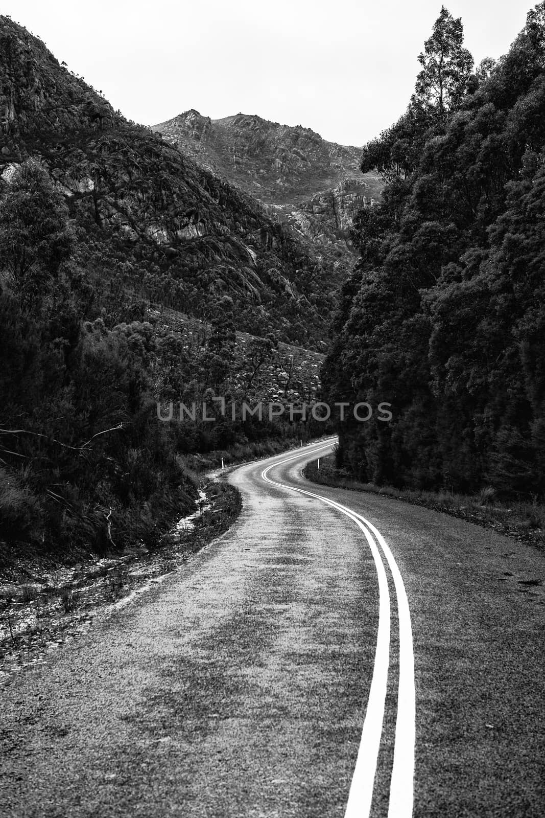Road and mountains in the Tasmanian countryside. Black and white by artistrobd