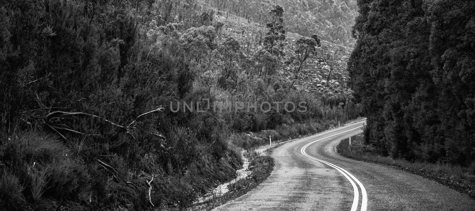 Road and mountains in the Tasmanian countryside. Black and white by artistrobd