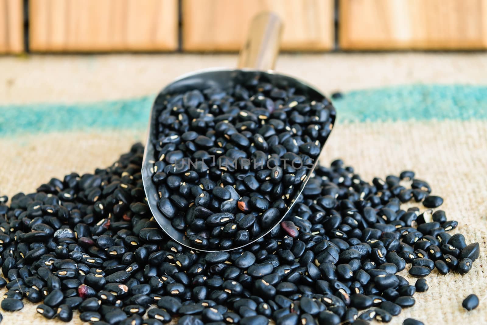 black beans seeds by naramit