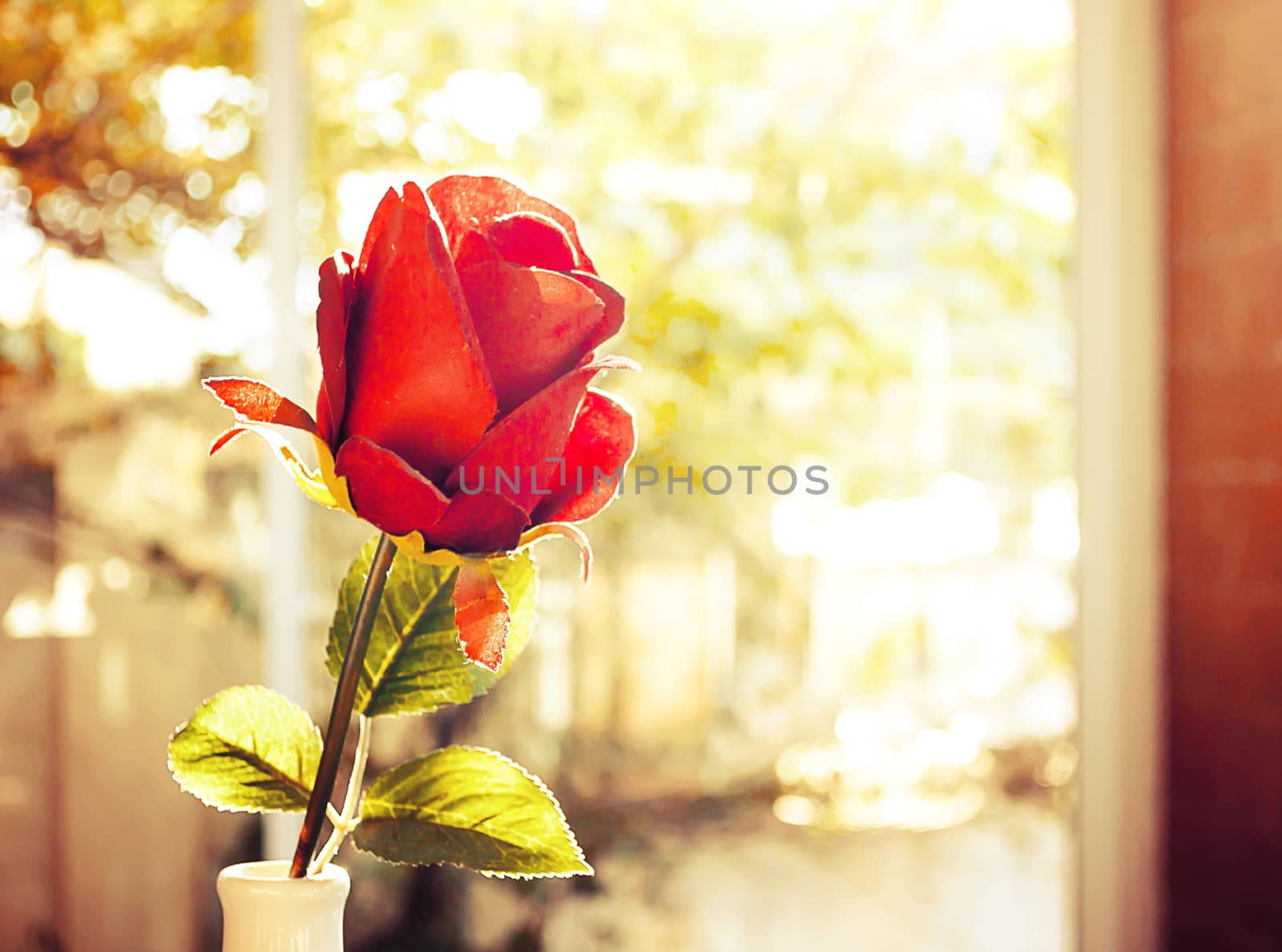Red roses flower in glass vase by apichart