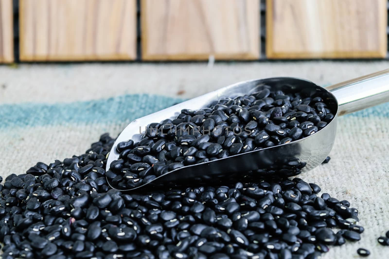 black beans seeds in steel spon on sack wooden backgrond