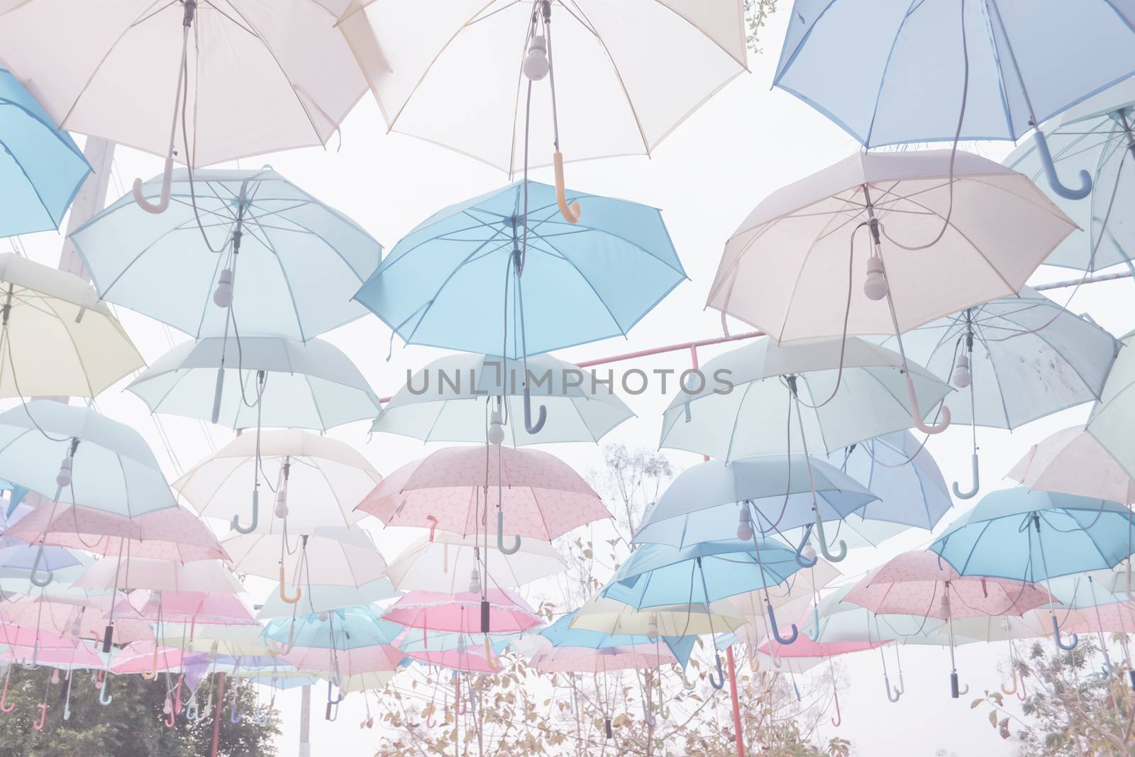 Umbrella pattern pastel by apichart