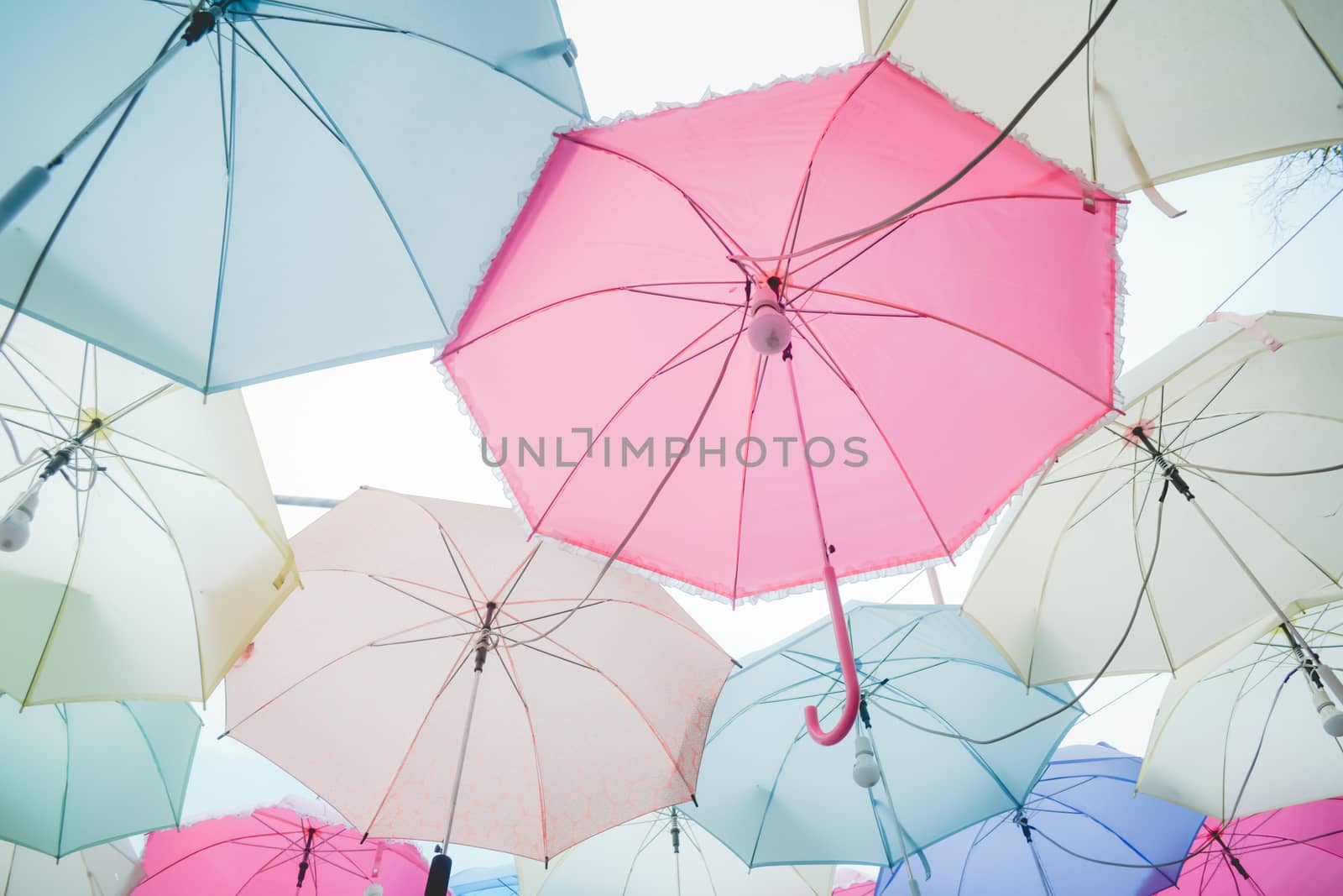 Umbrella pattern pastel by apichart