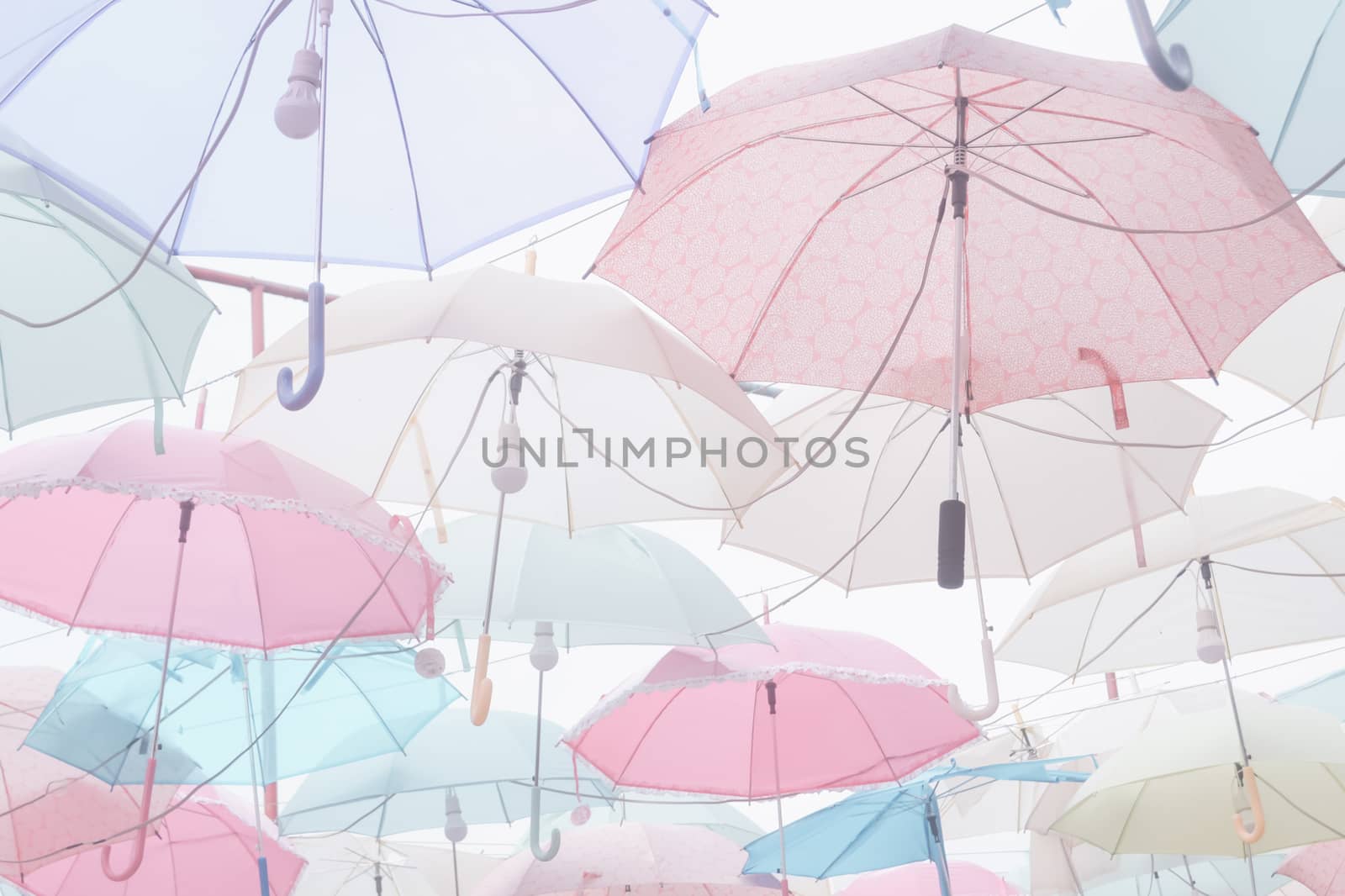 Umbrella pattern pastel by apichart