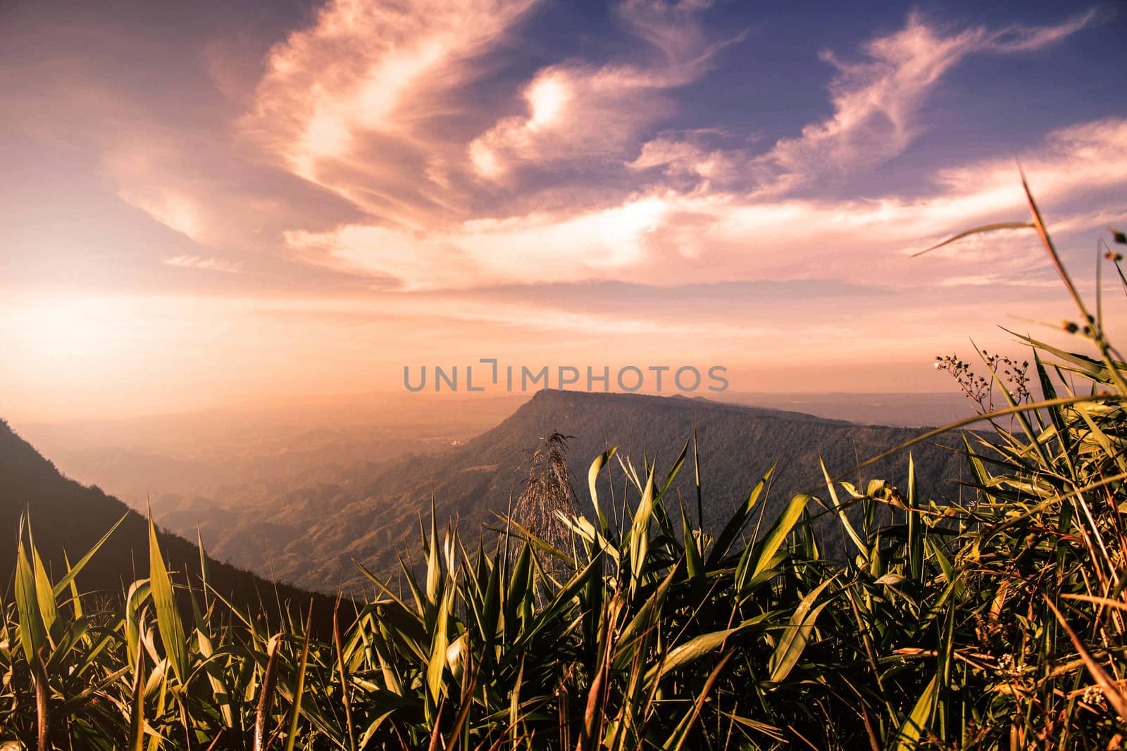 grass and mountains with the sky in evening.