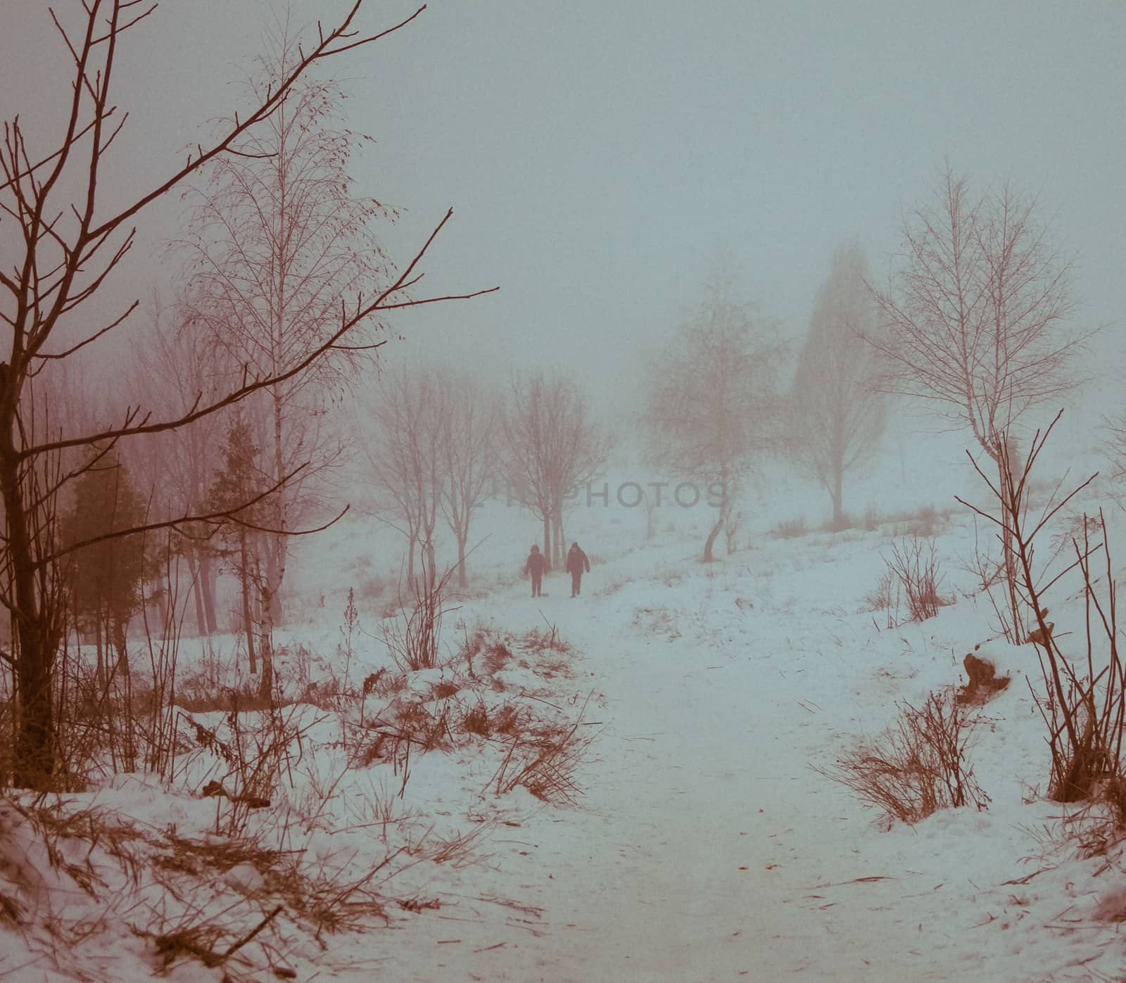 winter landscape children go sledding by Oleczka11