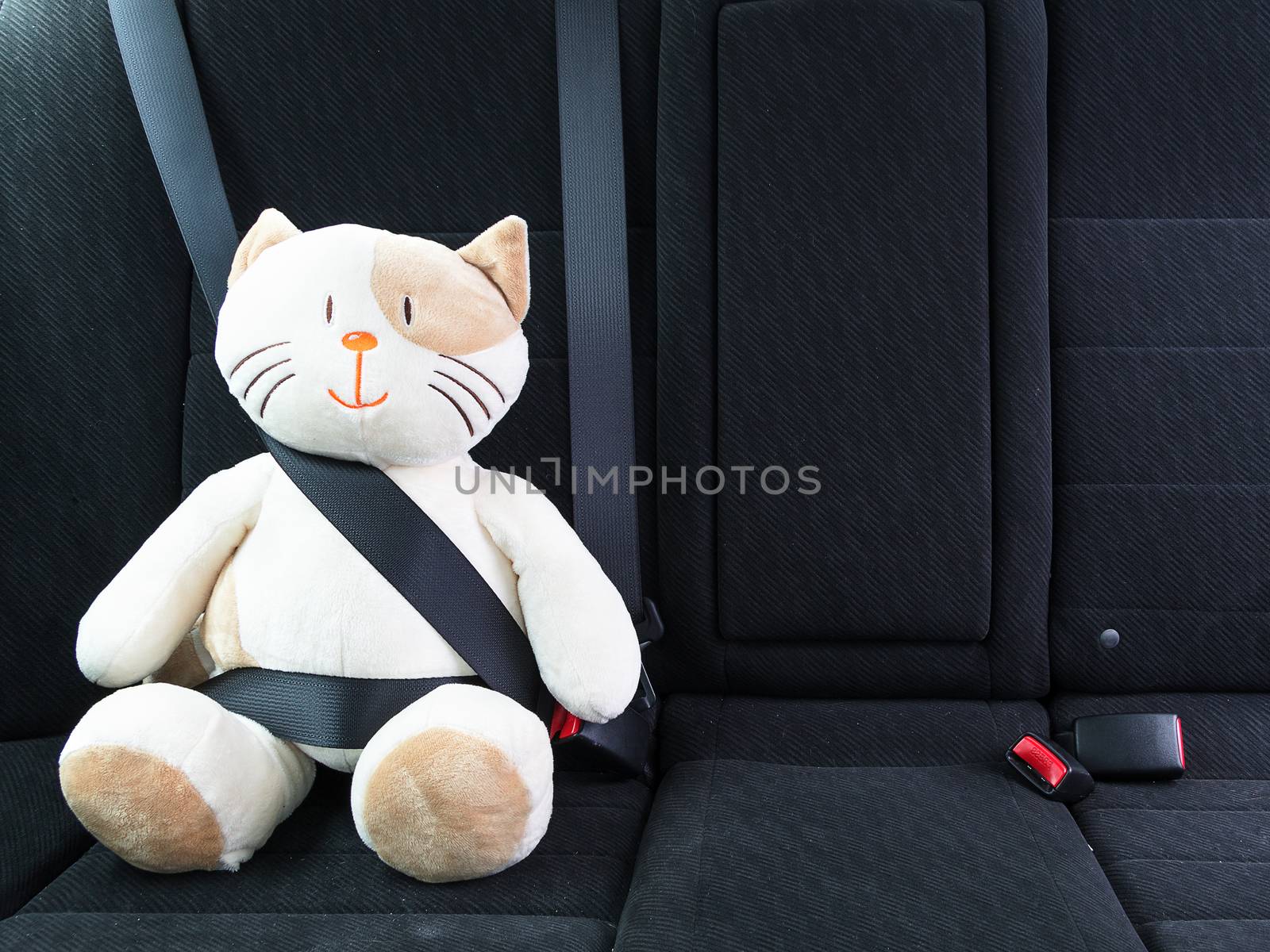 Plush toy cat fastened with seatbelt in the back seat of a car, safety on the road. Protection concept.