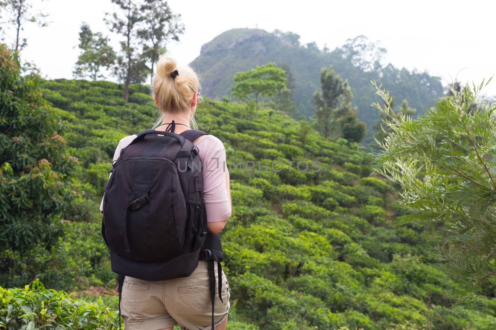 Active caucasian blonde woman enjoing fresh air and pristine nature while tracking among tea plantaitons near Ella, Sri Lanka. Bacpecking outdoors tourist adventure.