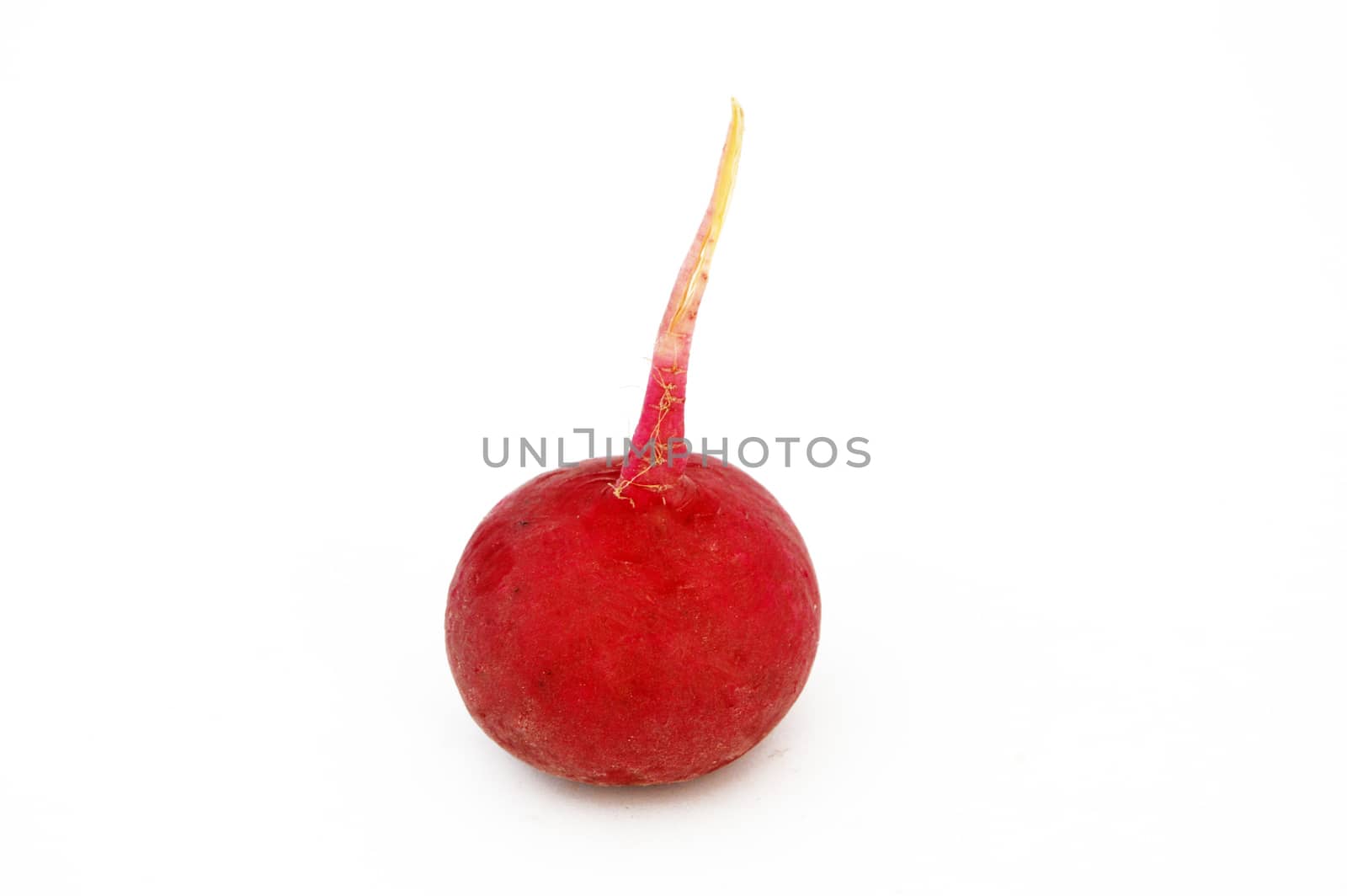 Suitable for food site advertisements radish, turnip, watermelon radish visual stock pictures