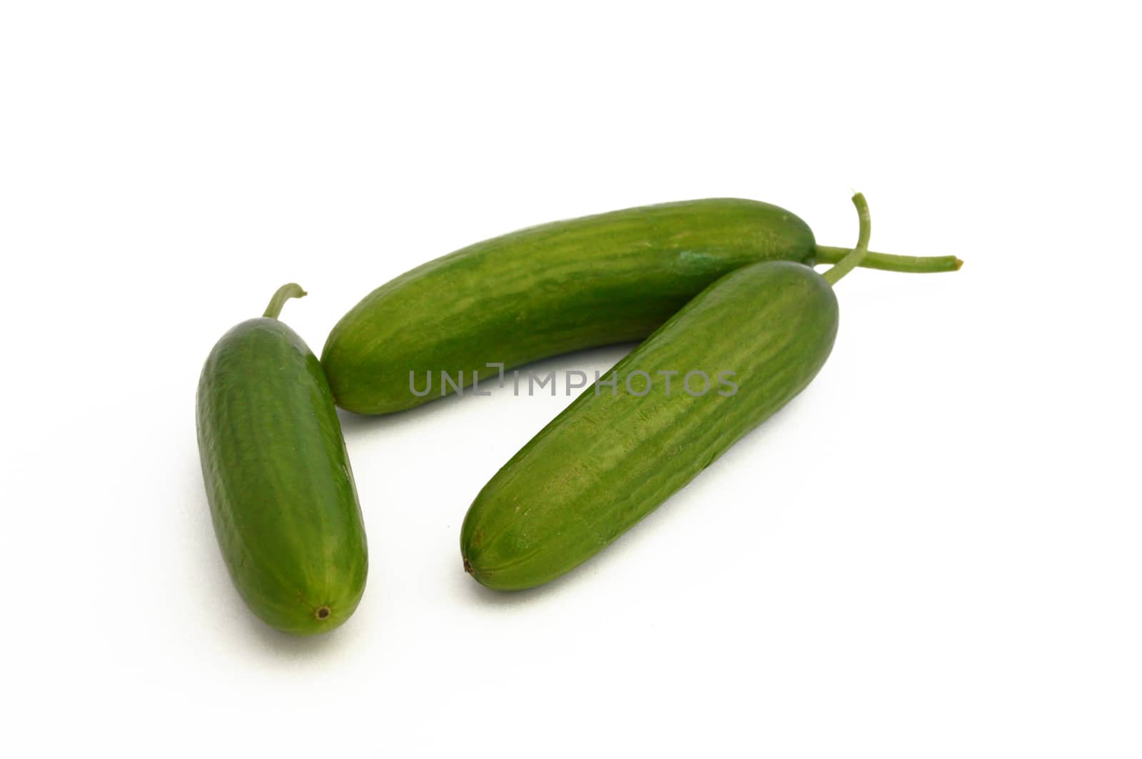 fresh healthy silor salad on white and copy space stock photography