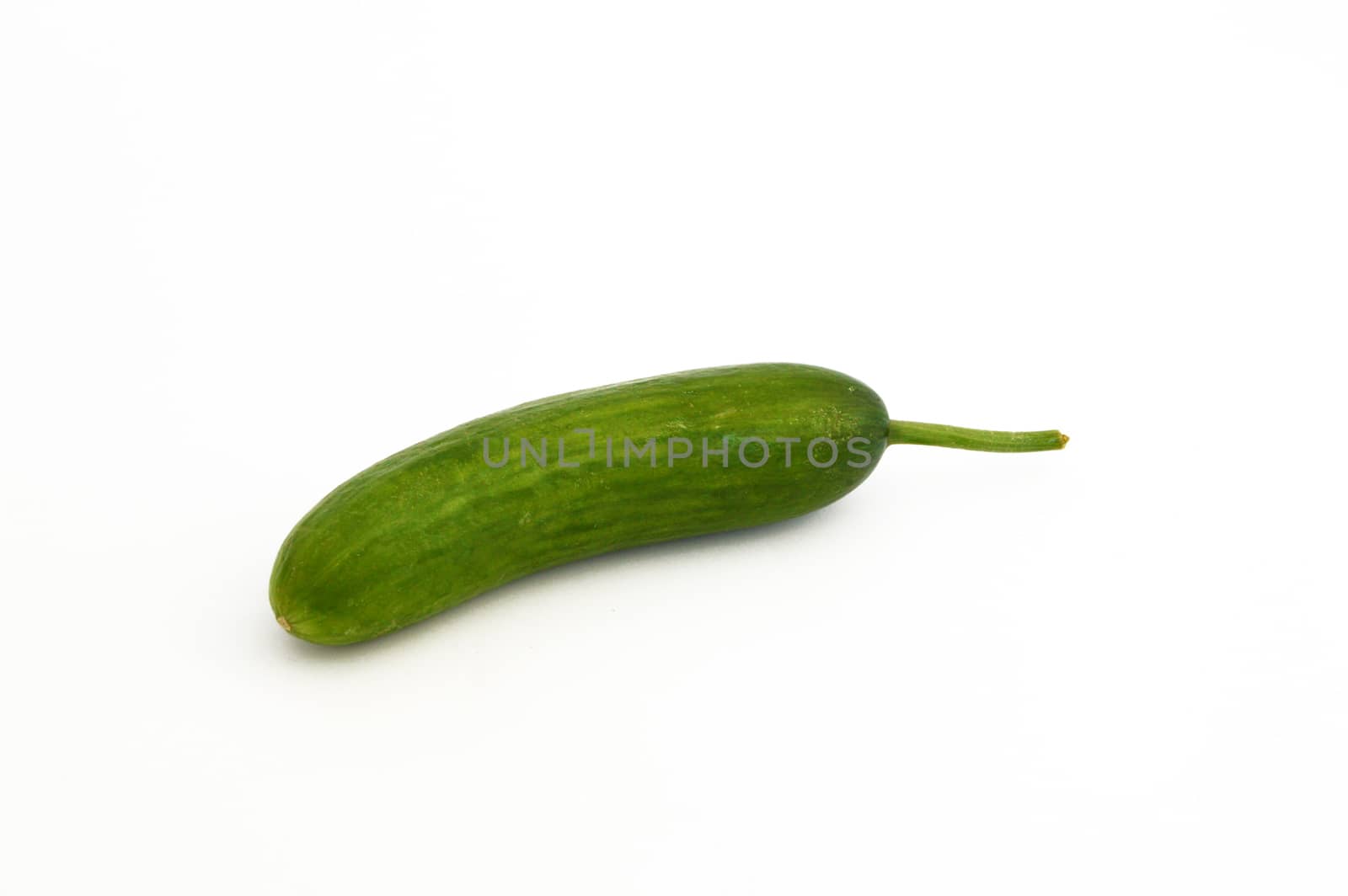 fresh healthy silor salad on white and copy space stock photography