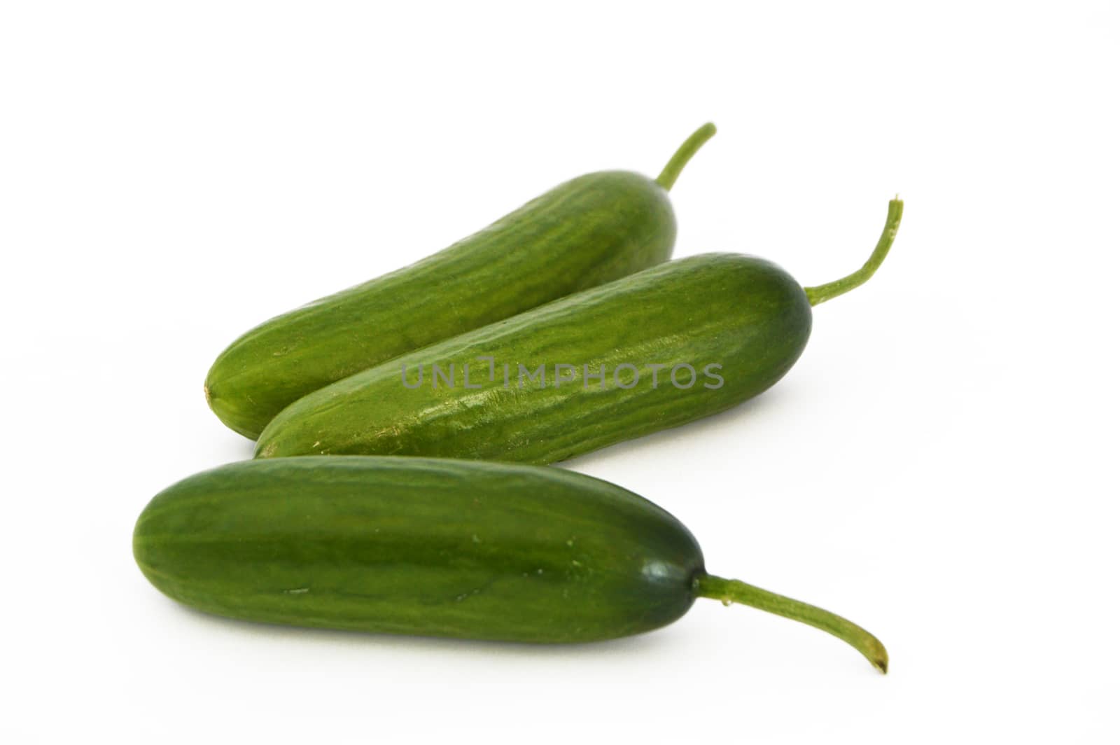 fresh healthy silor salad on white and copy space stock photography