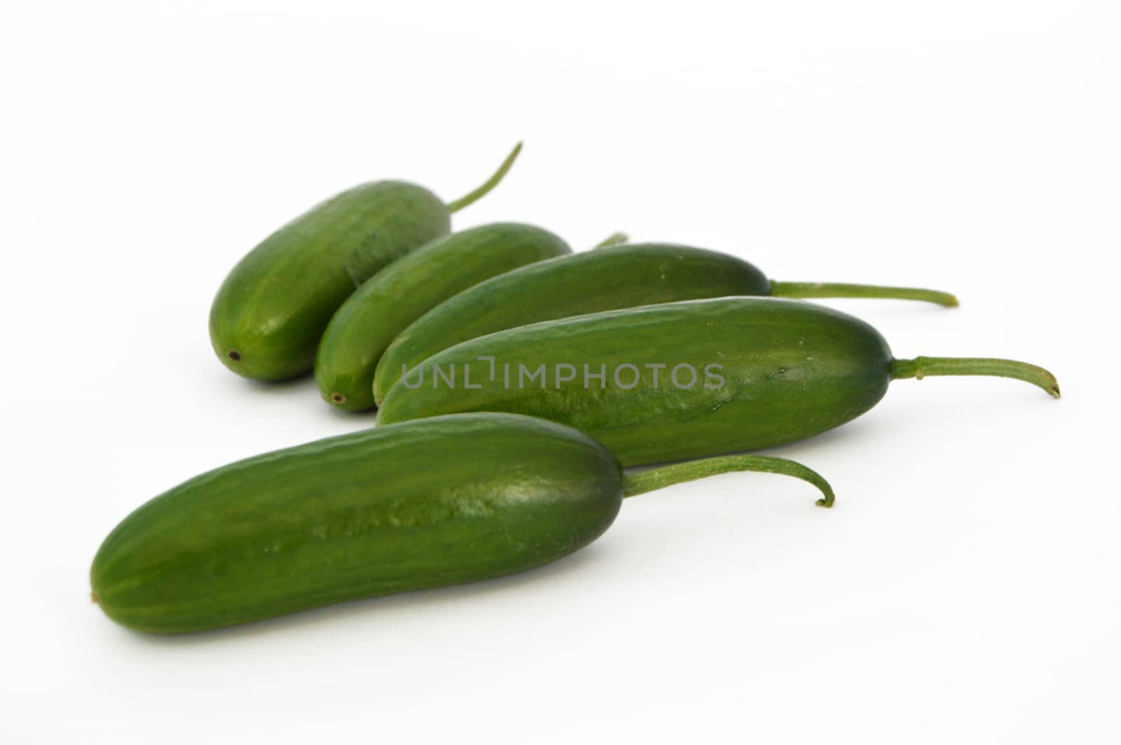 fresh healthy silor salad on white and copy space stock photography