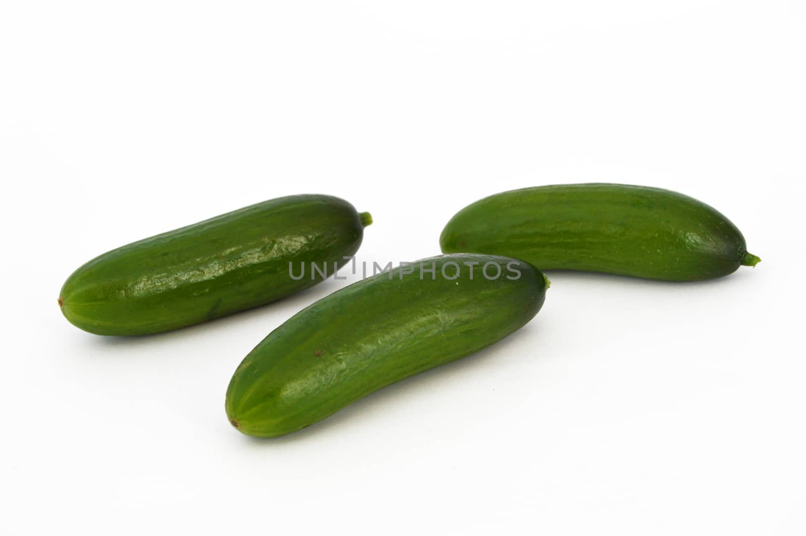 fresh healthy silor salad on white and copy space stock photography