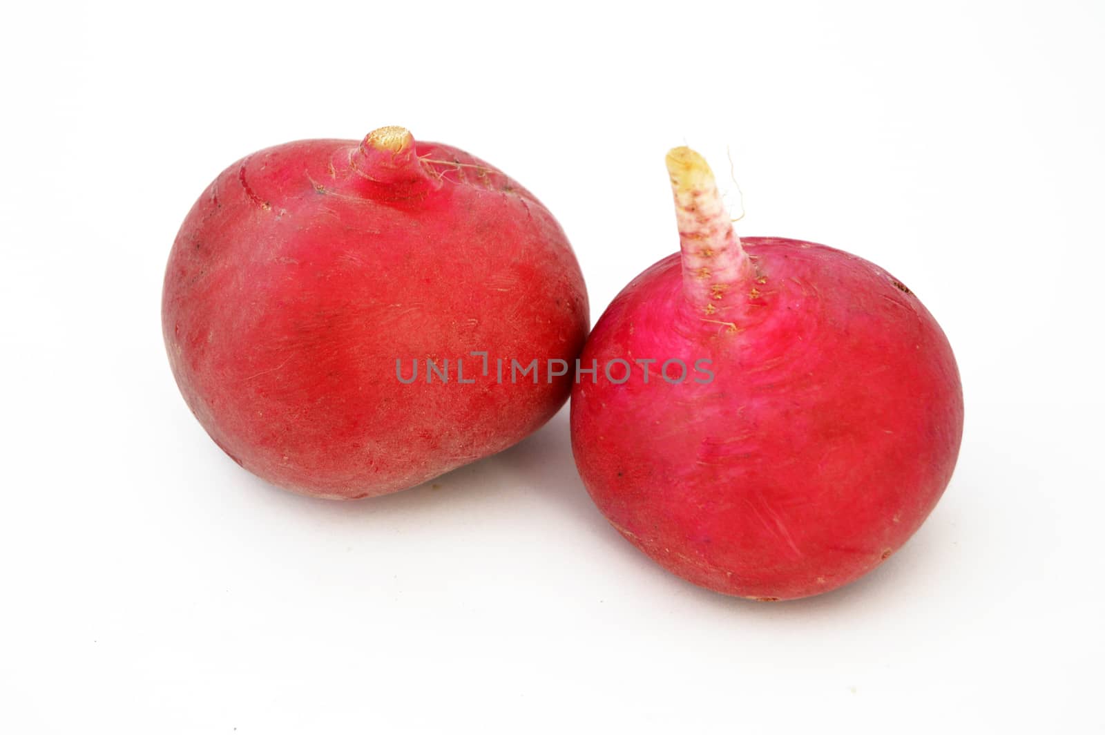 radish, turnip, watermelon radish visual stock pictures by nhatipoglu