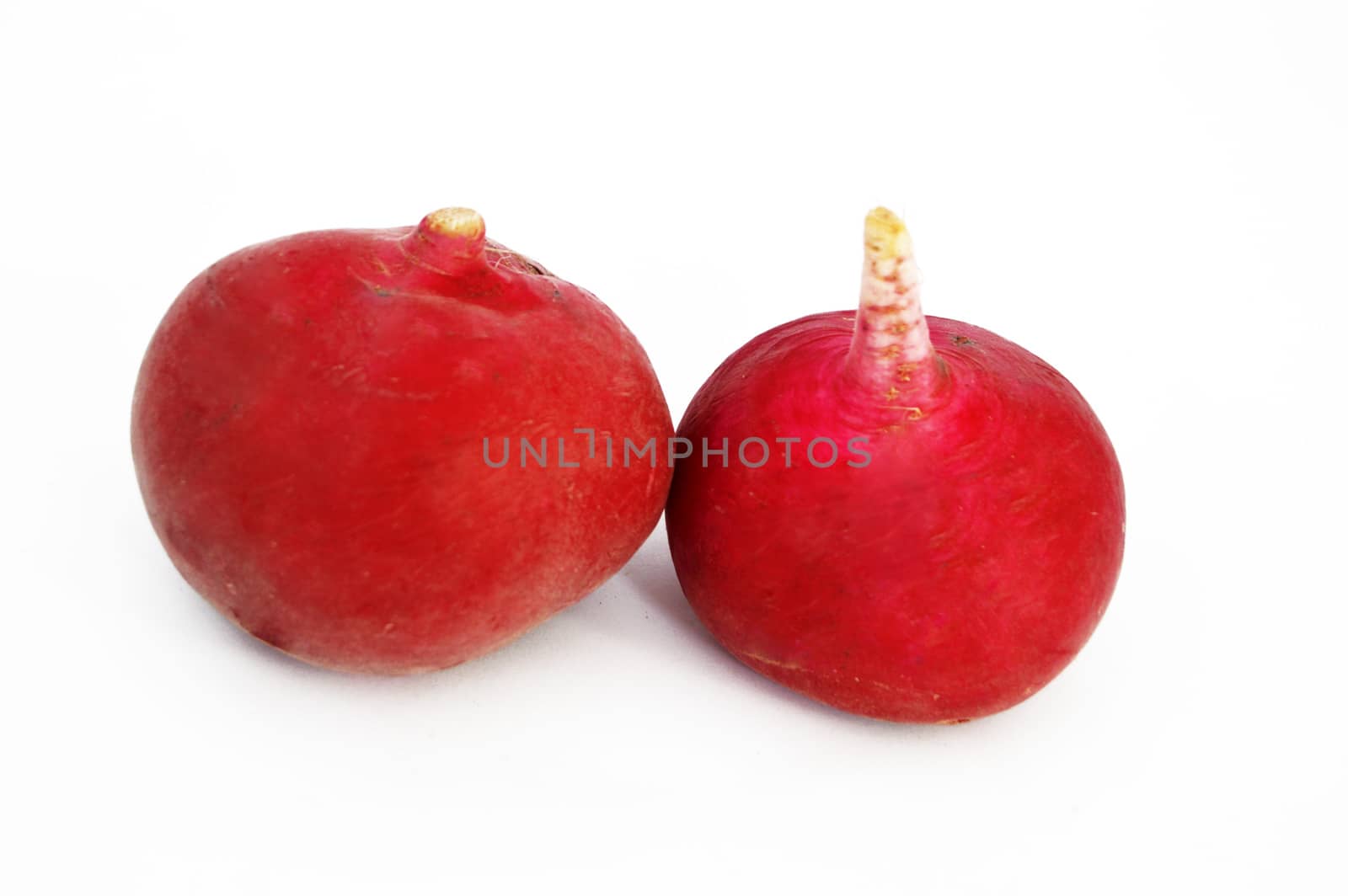 radish, turnip, watermelon radish visual stock pictures by nhatipoglu