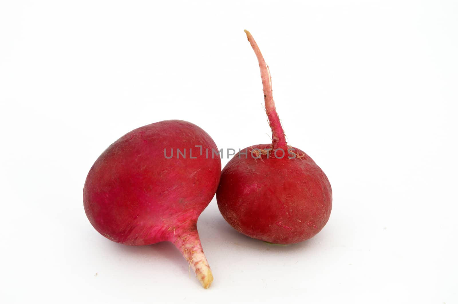 radish, turnip, watermelon radish visual stock pictures by nhatipoglu