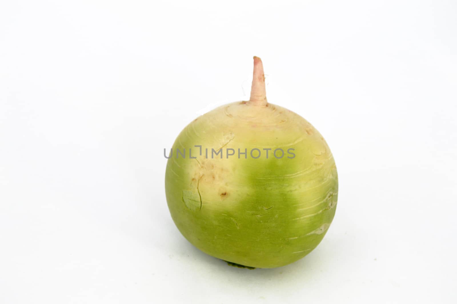 radish, turnip, watermelon radish visual stock pictures by nhatipoglu