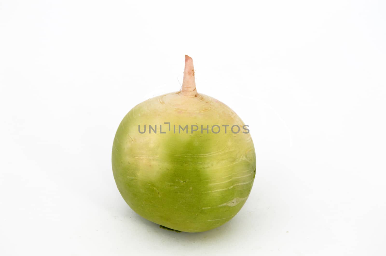 radish, turnip, watermelon radish visual stock pictures by nhatipoglu