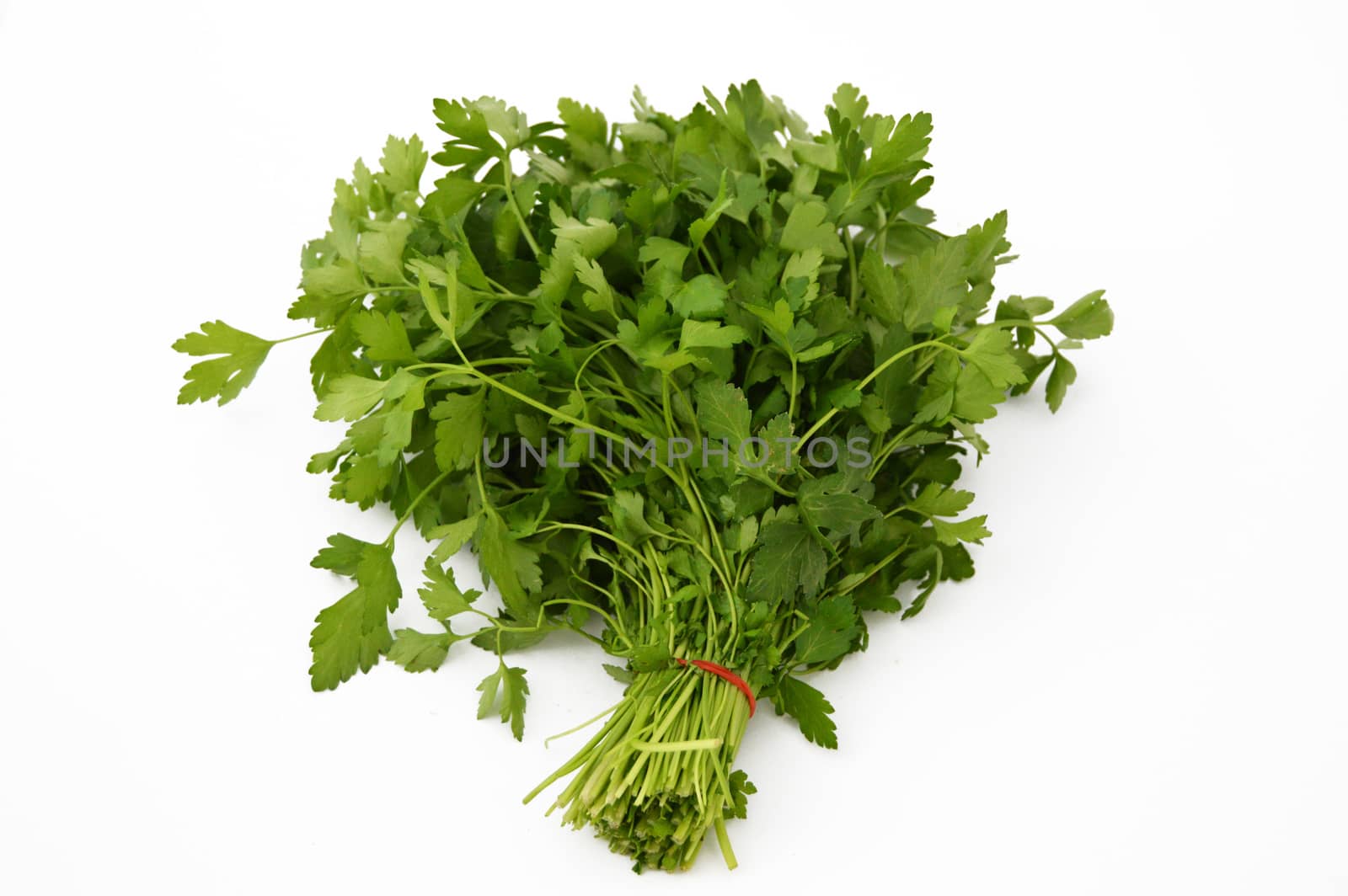 Pictures of a bond parsley by nhatipoglu