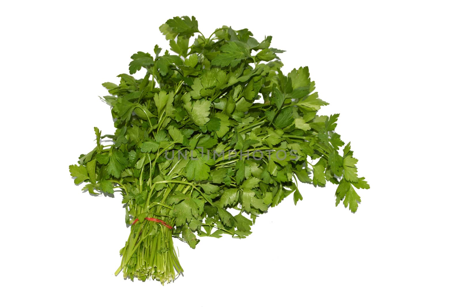 Pictures of a bond parsley