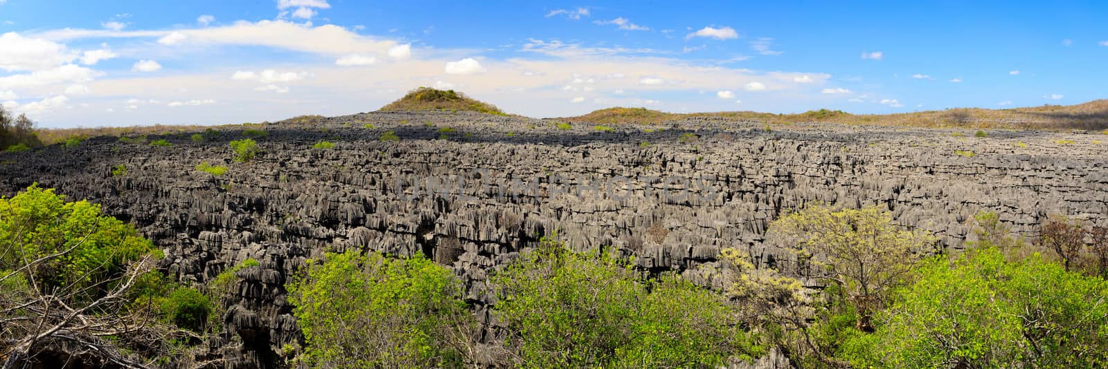 Curiously strange rock formations of fantastically eroded limestone spires, known as Tsingy in amazing National Park Ankarana, Madagascar wilderness