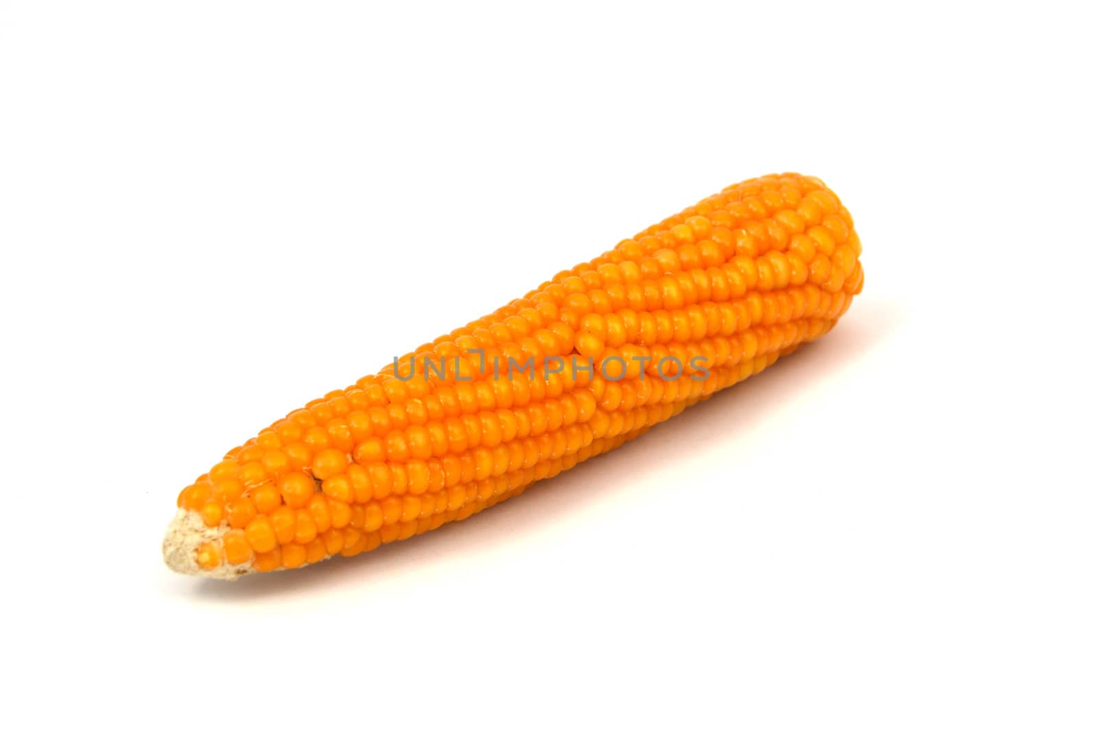 Dry corn pictures