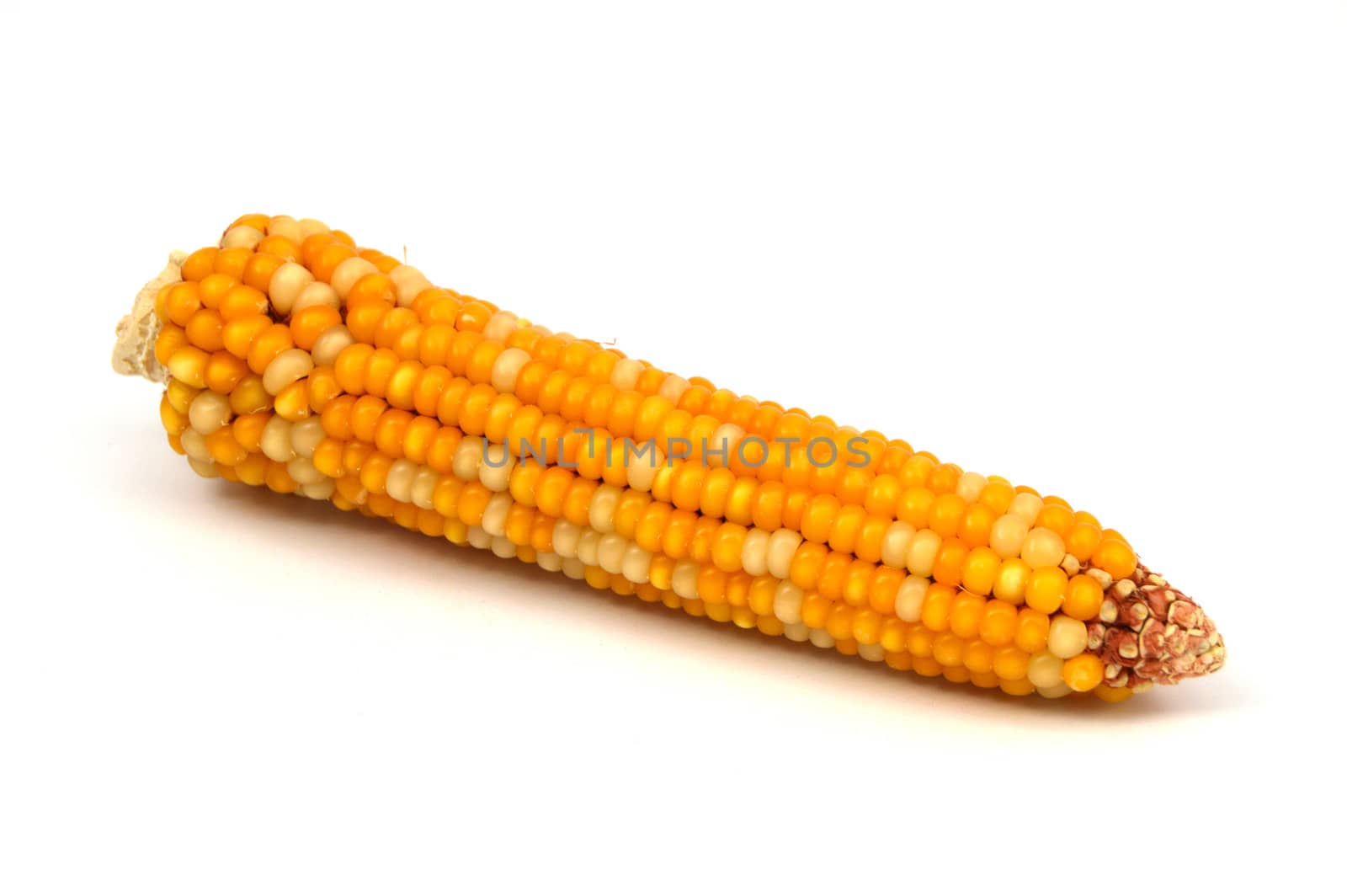 Dry corn pictures