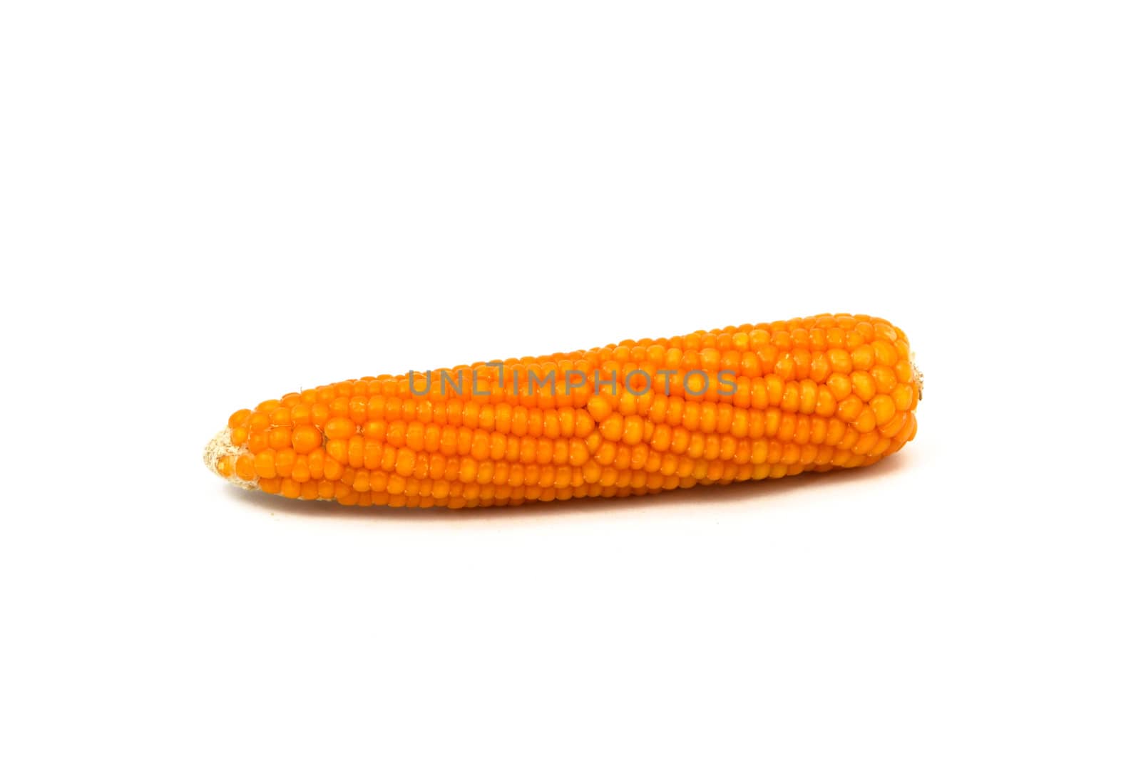 Dry corn pictures