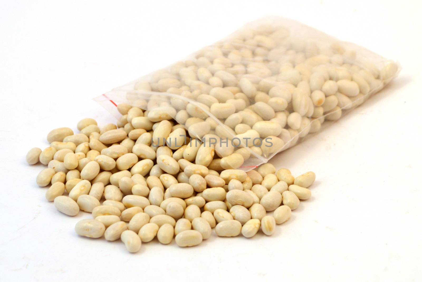 naturel gina bean seed