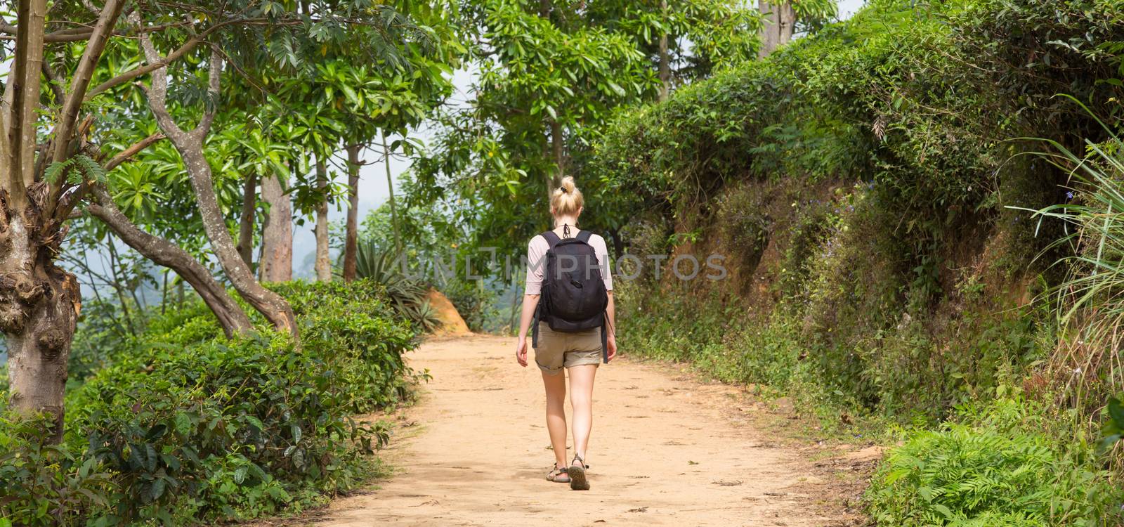 Active caucasian blonde woman enjoyng fresh air and pristine nature while tracking among tea plantatons near Ella, Sri Lanka. Backpecking outdoors tourist adventure.
