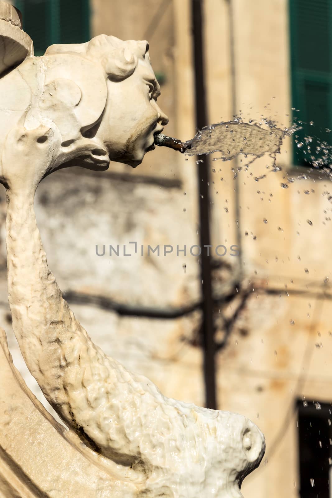 Detail of the water fountain of in Savona, Italy.