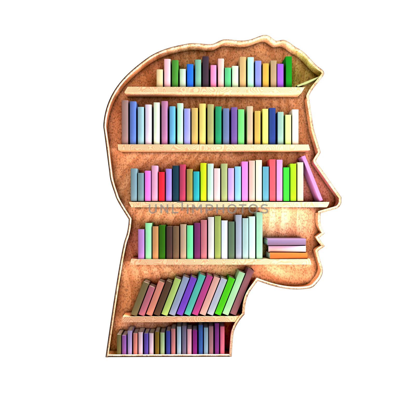 Head shaped library containing books on shelves. Brain concept. Informations are stored and organized. 3D Rendering