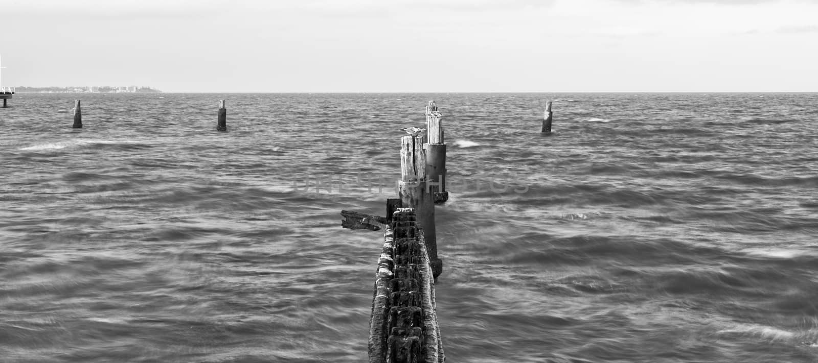 Black and white image of Shorncliffe Pier in Queensland, Australia.